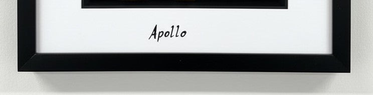 Personalised calligraphy name “Apollo” on framed dog wall art moun
