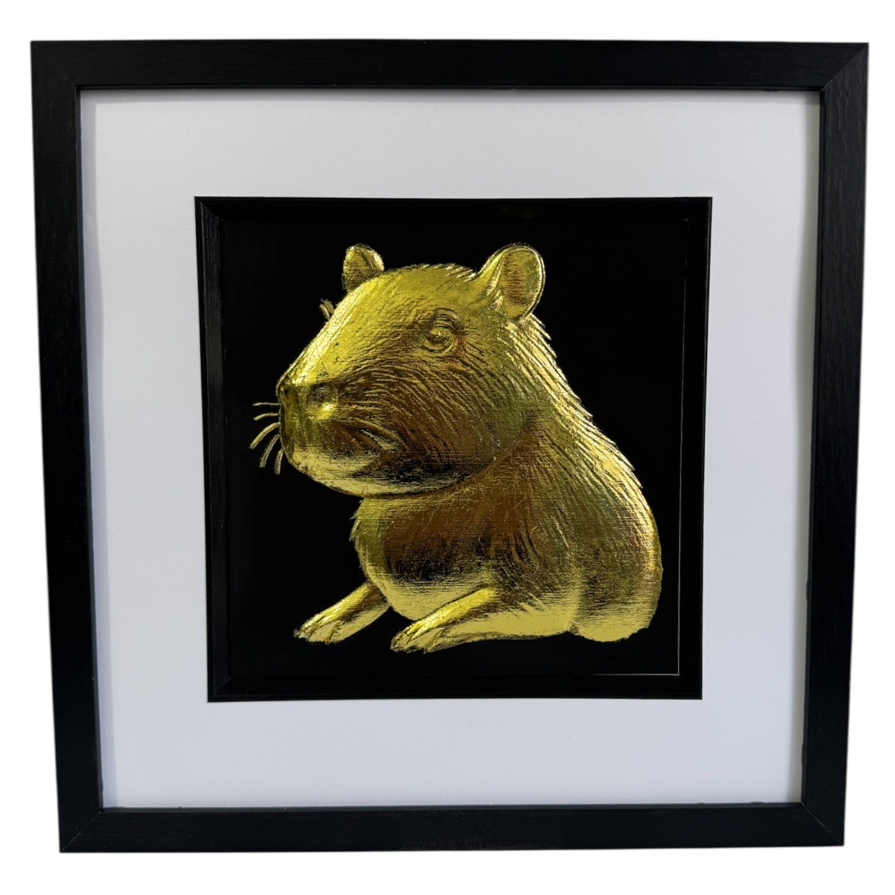 Capybara portrait framed wall art in gold leaf with black frame white mount and black background