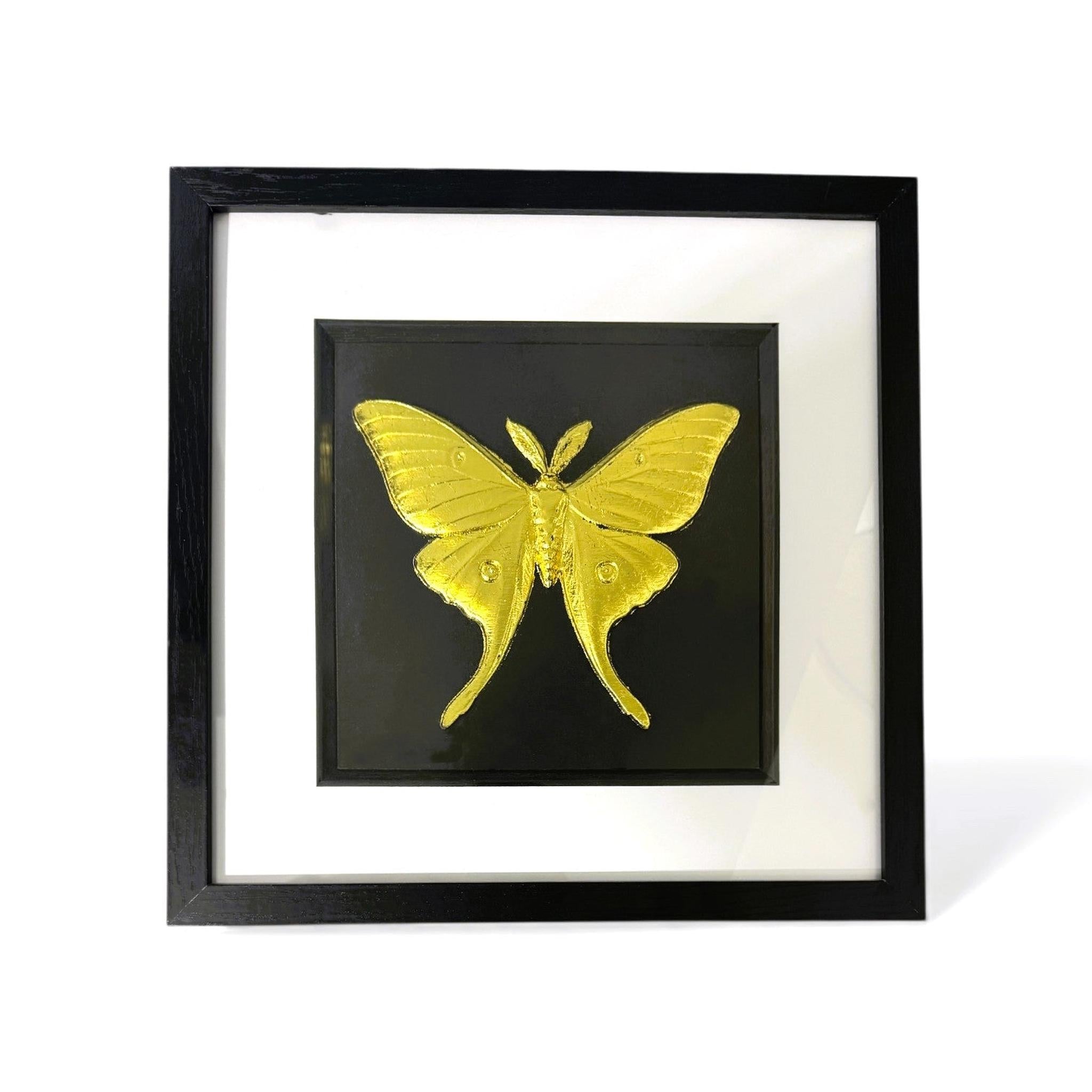 Front-facing gold leaf luna moth wall art with black background and white mount