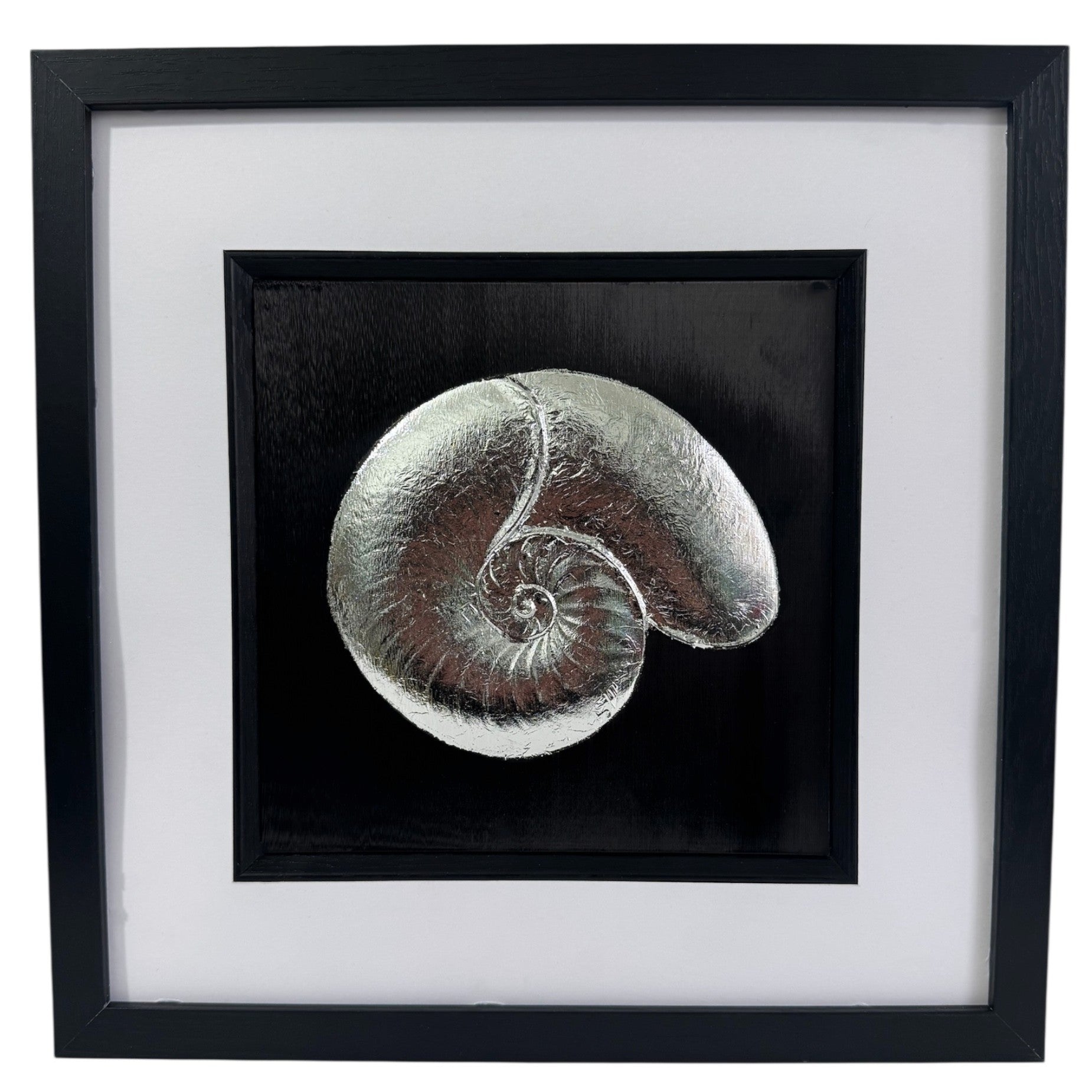 Nautilus shell silver leaf artwork on black background in square frame