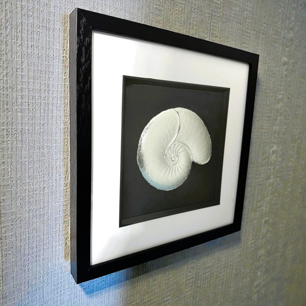 Framed nautilus shell wall art shown from an angled wall view