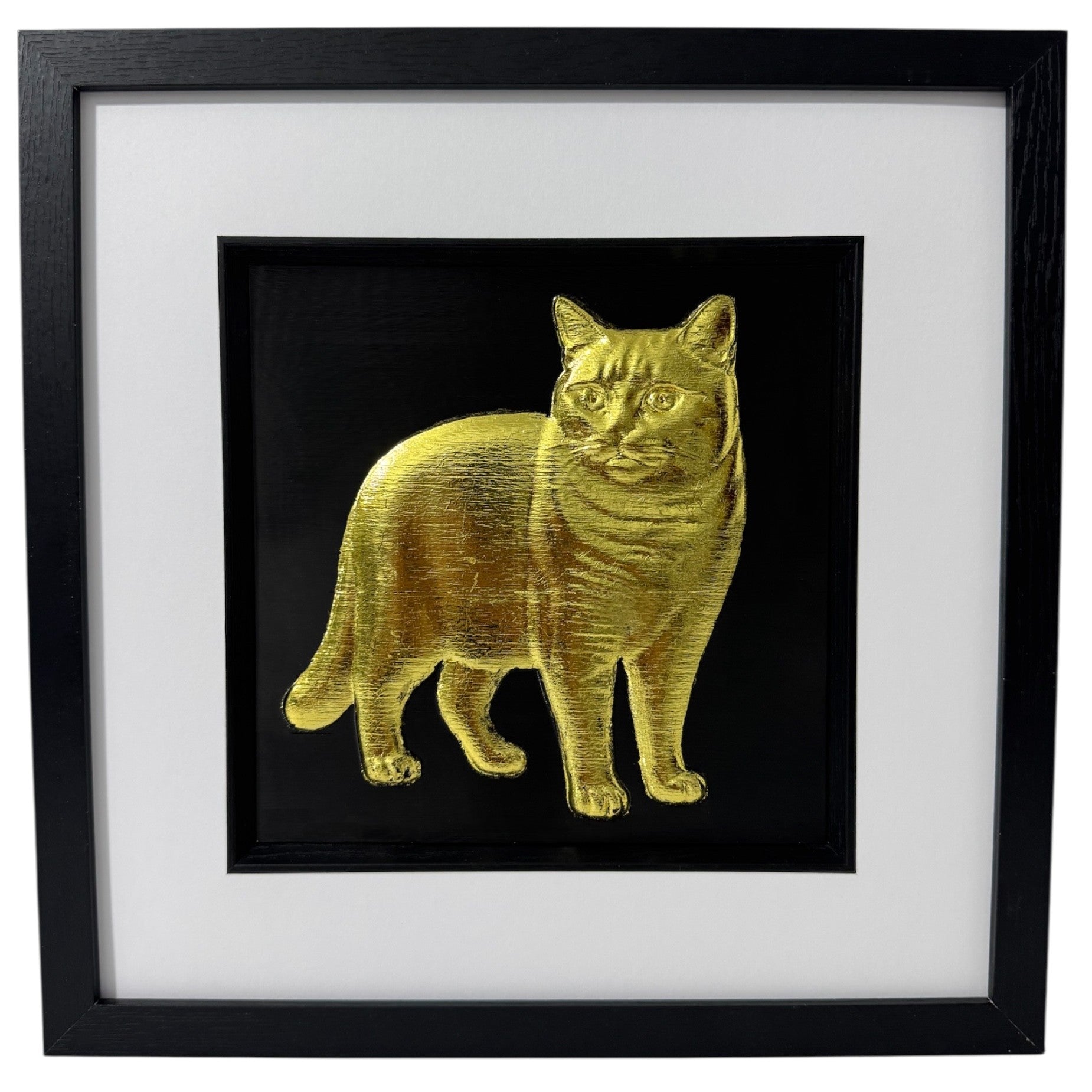 Front view of British Shorthair cat wall art, raised 3D relief finished in gold leaf on black background, framed with white mount in black frame
