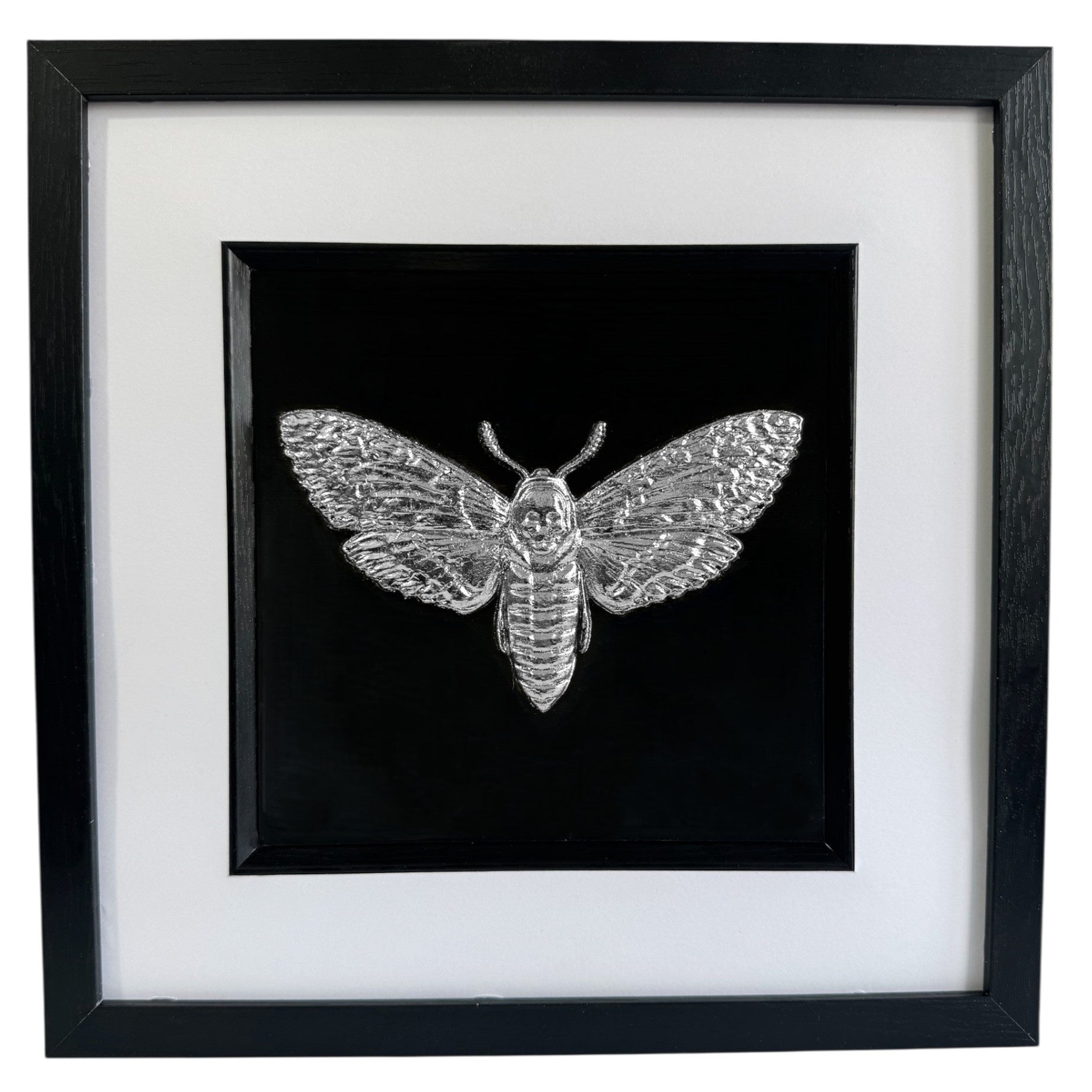 Death’s head hawkmoth 3D wall art in silver leaf, framed in a black wooden frame with white mount on a black background.