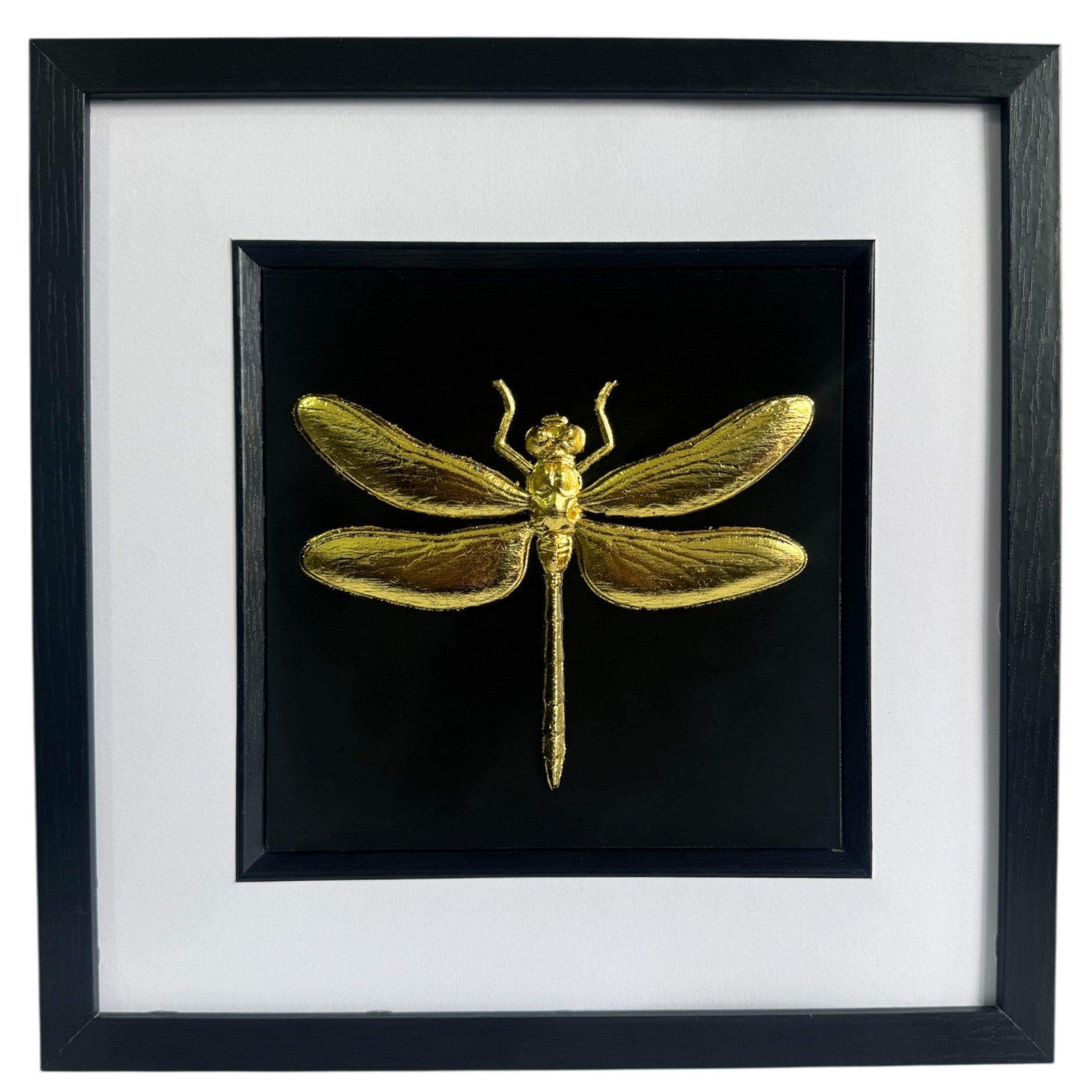 Front-facing gold leaf dragonfly wall art with black background and white mount
