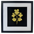Gold framed floral relief with three flowers and two leaves on a black background with a wide white mount and black inner surround