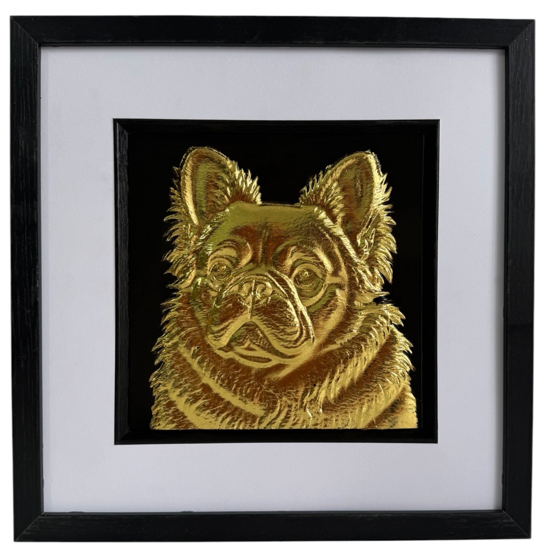 Straight-on gold fluffy French Bulldog portrait in a black frame with white mount and black inner surround.