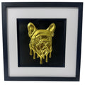 Molten French Bulldog framed wall art in gold leaf shown front on with black wooden frame white mount and black background