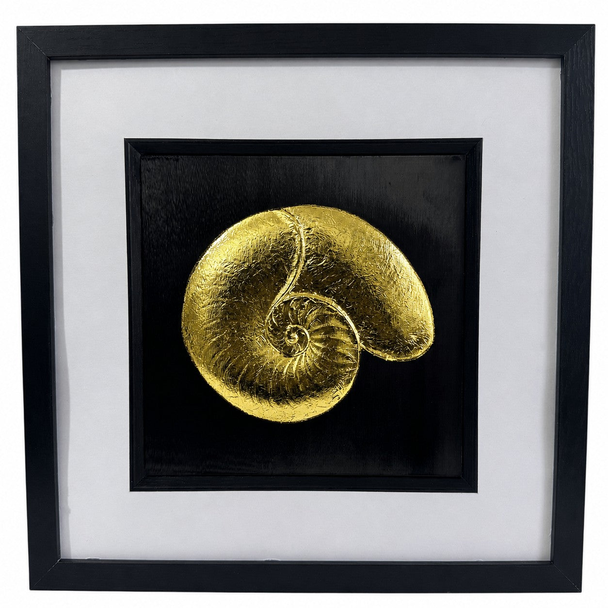 Gold nautilus shell wall art in a black frame with white mount, featuring a hand gilded gold leaf 3D relief shell design on a black background for coastal and nature inspired home decor.