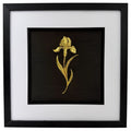 Gold iris raised relief in a black frame with white mount and black inner surround on a white background.