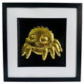 Front view of Gold jumping spider wall art in a black box frame with white mount and black background