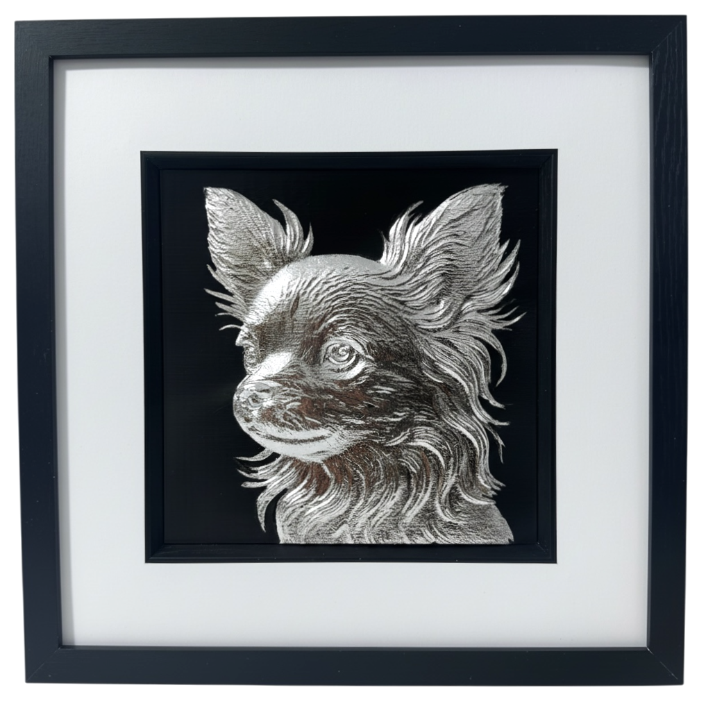 Long Hair Chihuahua framed wall art in silver leaf shown front on with black frame white mount and black background