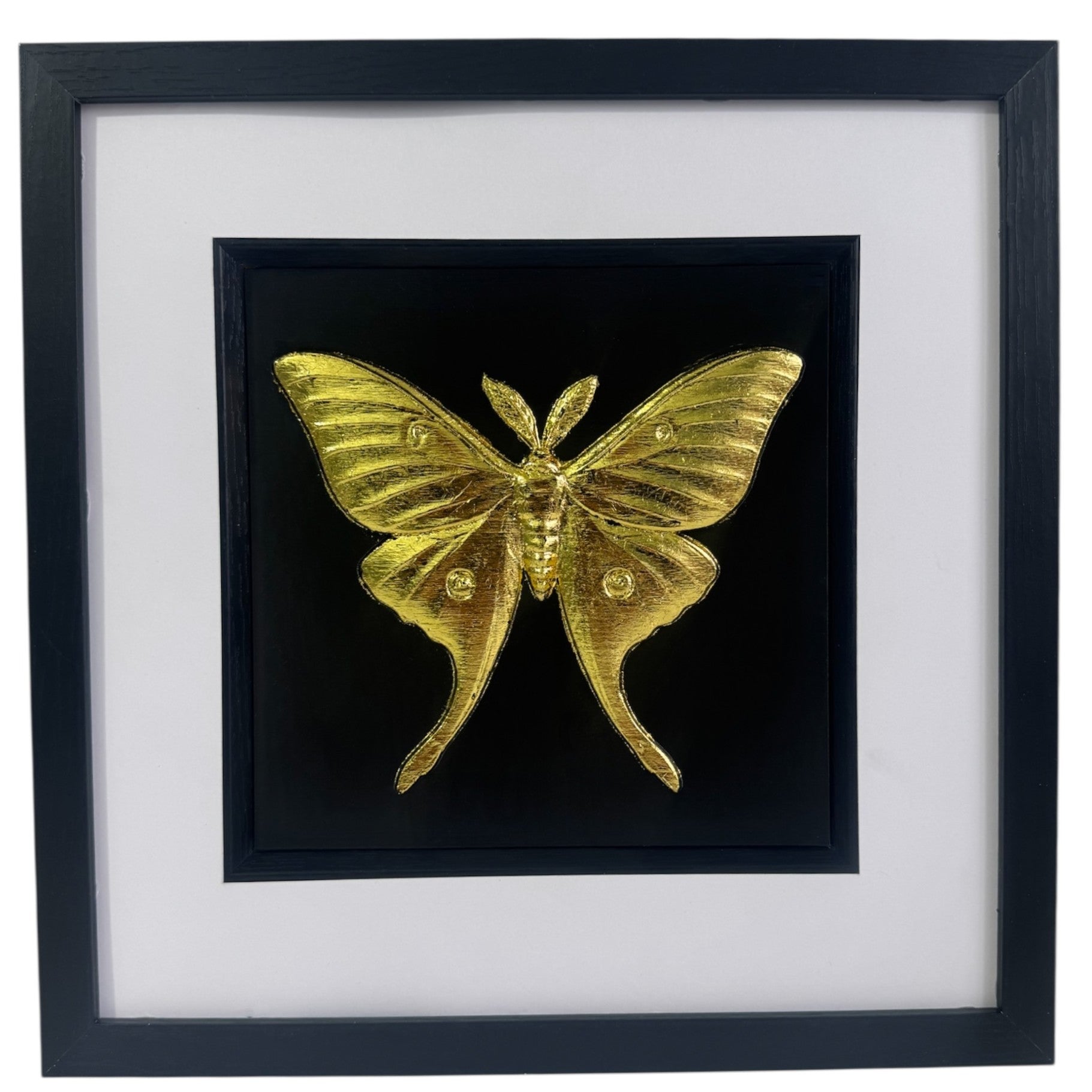 Front-facing gold leaf luna moth wall art with black background and white mount