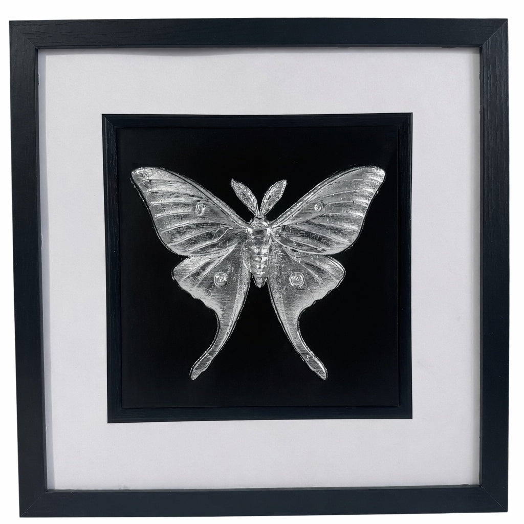Front-facing silver leaf luna moth wall art with black background and white mount