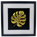 Gold monstera leaf 3D relief in black box frame with white mount and glass front, product photo