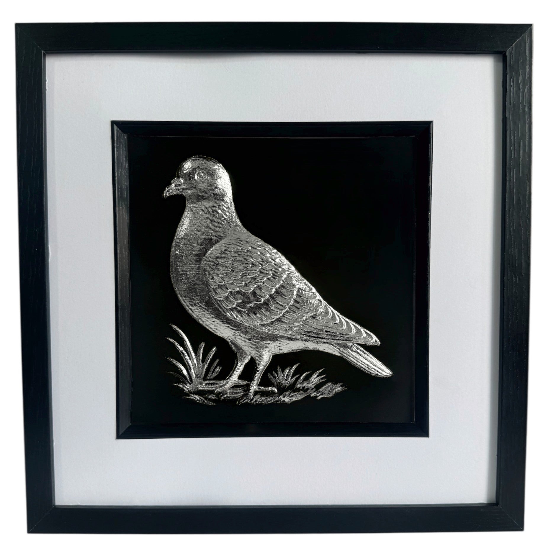 Framed pigeon wall art in silver leaf, front-facing view highlighting detailed feather relief on black background