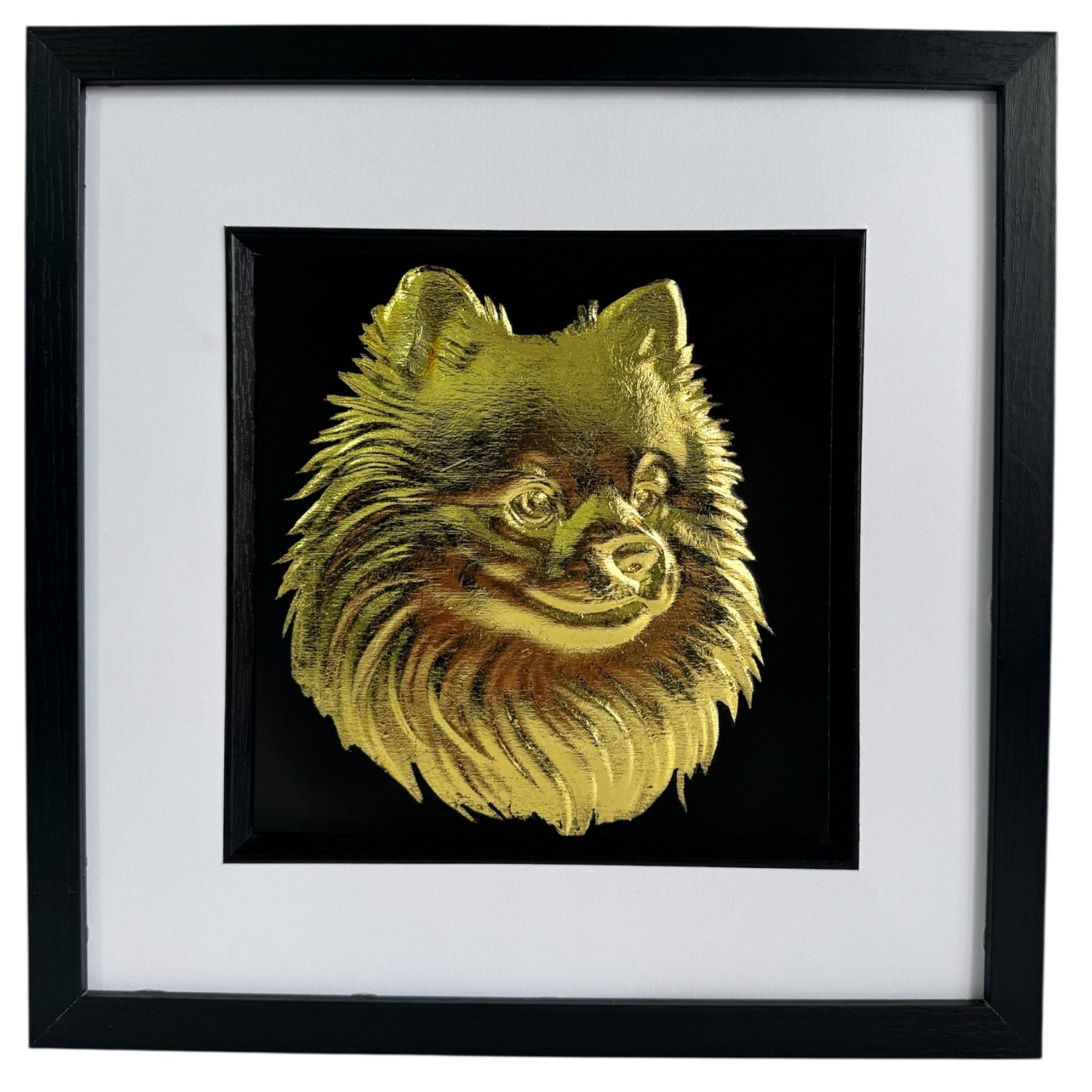 Pomeranian framed wall art in gold leaf shown front on with black wooden frame white mount and black background