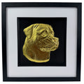 Rottweiler framed wall art in gold leaf shown front on with black wooden frame white mount and black background