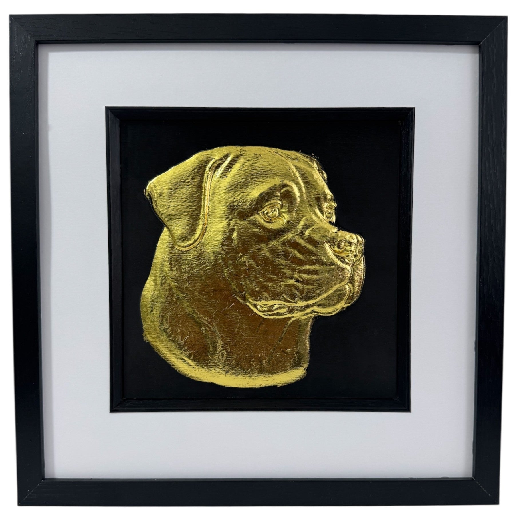 Rottweiler framed wall art in gold leaf shown front on with black wooden frame white mount and black background