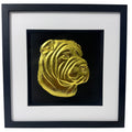 Shar Pei gold leaf framed wall art shown front on with black wooden frame white mount and black background