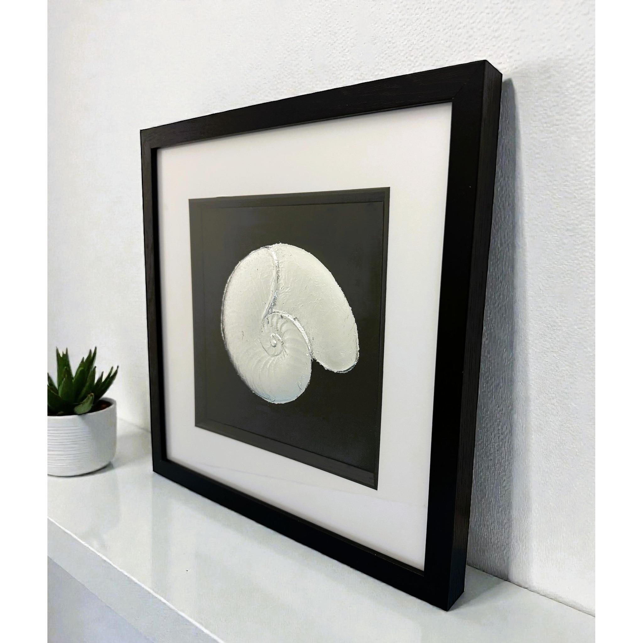 Silver nautilus shell wall art displayed on a shelf in a modern interior