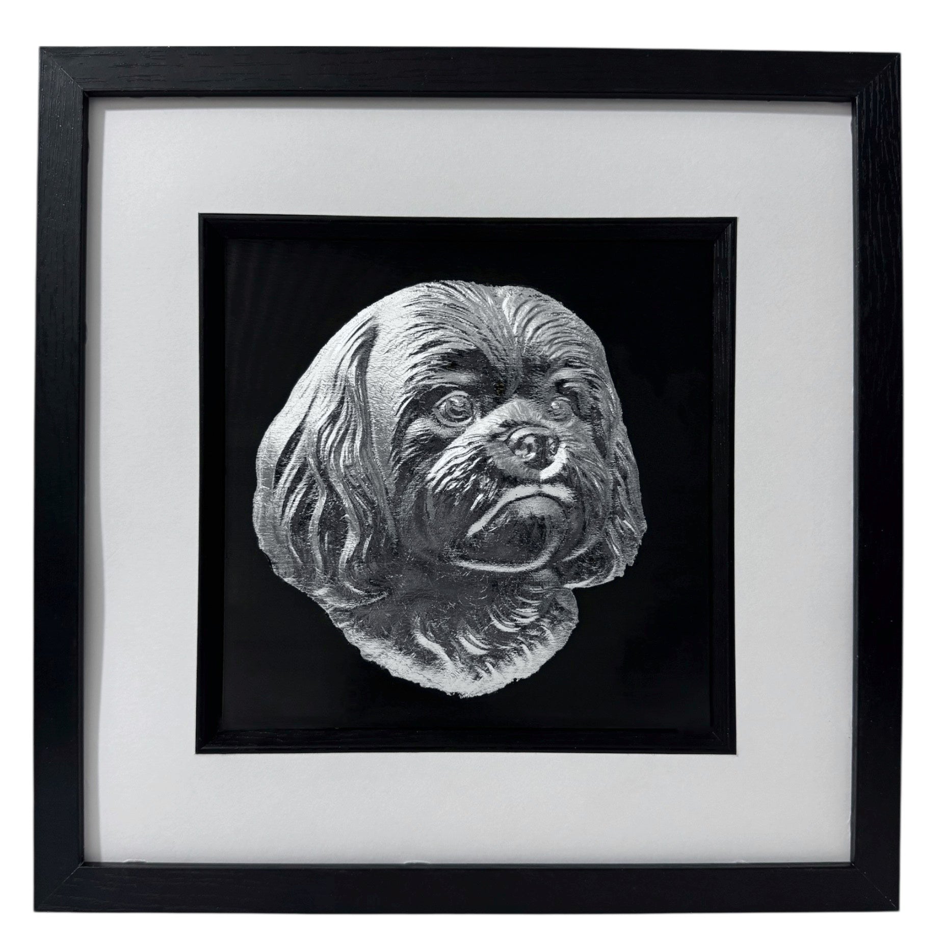 Shih Tzu framed wall art in silver leaf shown front on with black wooden frame white mount and black background