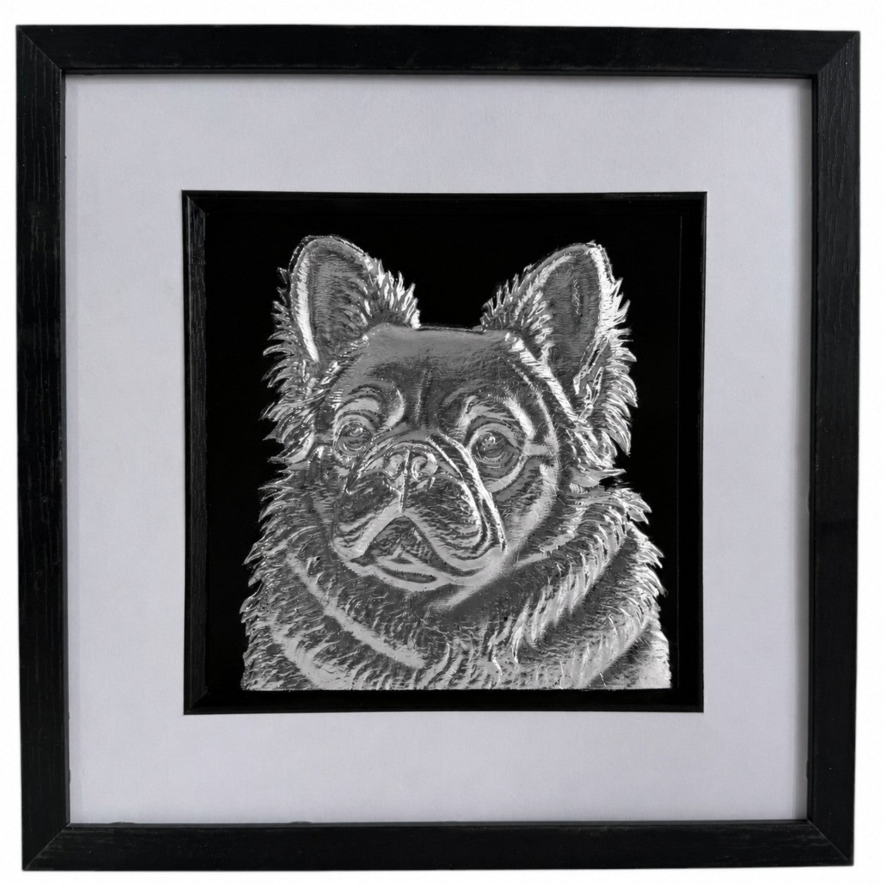 Silver fluffy French Bulldog relief portrait in a black square frame with white mount and black inner surround.