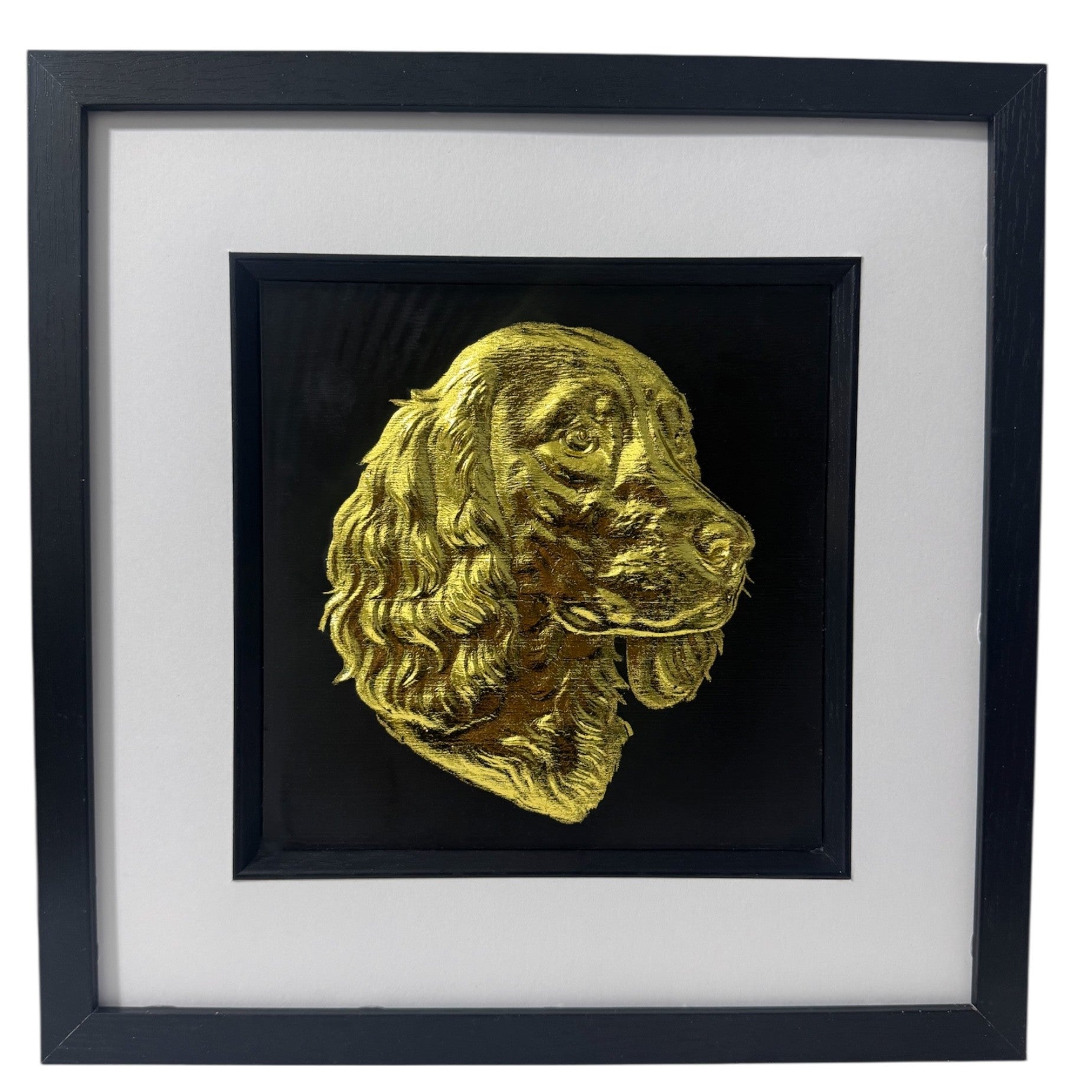 Springer Spaniel framed wall art in gold leaf shown front on with black wooden frame white mount and black 