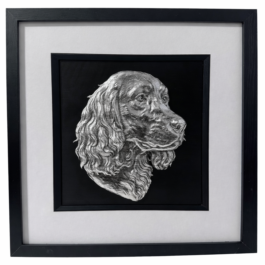 Springer Spaniel framed wall art in silver leaf shown front on with black wooden frame white mount and black background