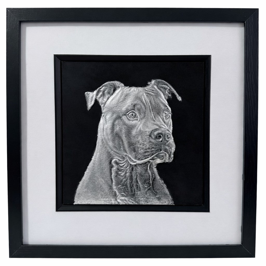 Staffordshire Bull Terrier framed wall art in silver leaf shown front on with black wooden frame white mount and black background