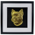 West Highland White Terrier framed wall art in gold leaf shown front on with black wooden frame white mount and black background