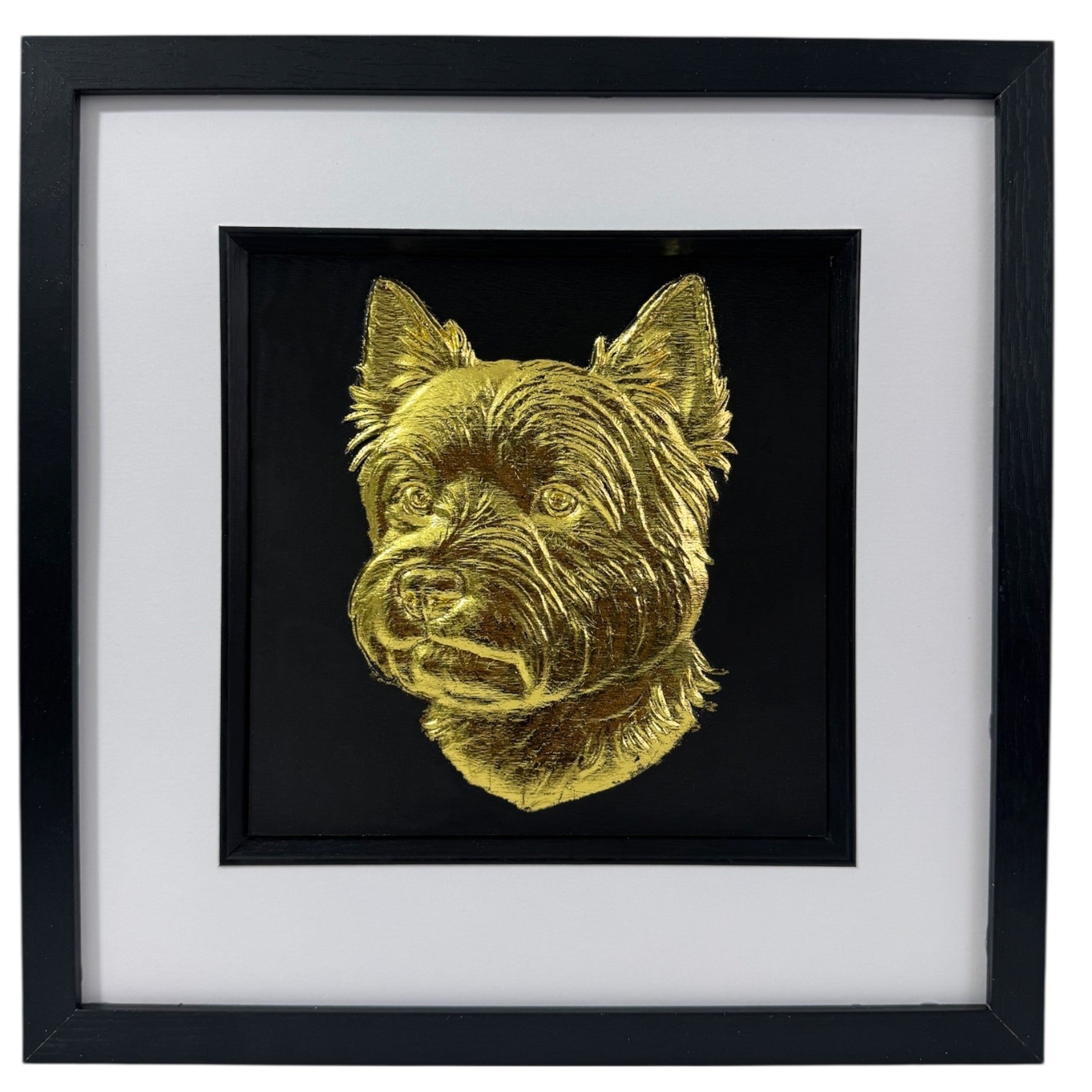 West Highland White Terrier framed wall art in gold leaf shown front on with black wooden frame white mount and black background